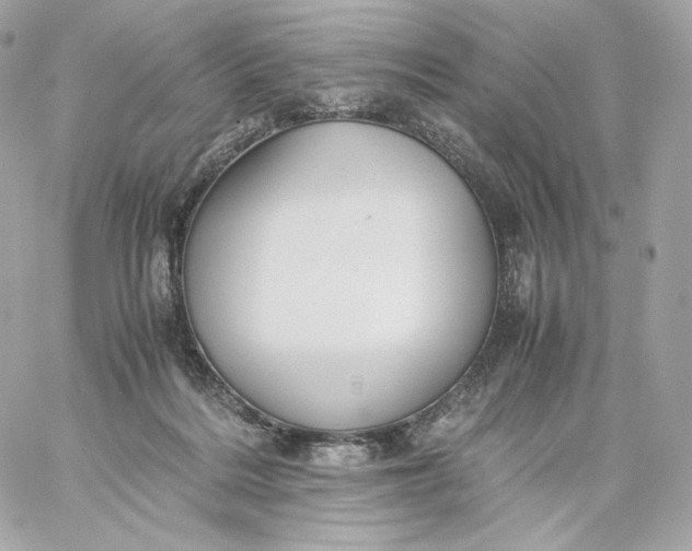 X0000060260220200511112029