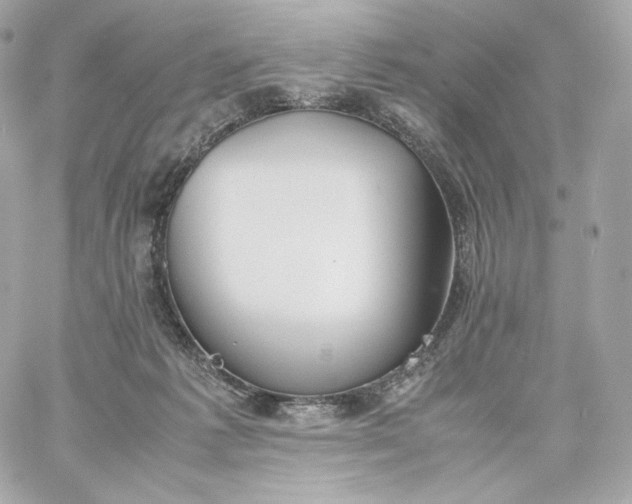 X0000060260221200511112029