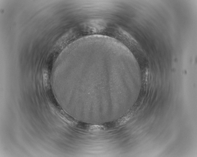 X0000060260222200511112029