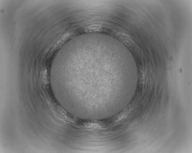 X0000060260224200511112029