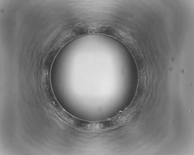 X0000060260225200511112029