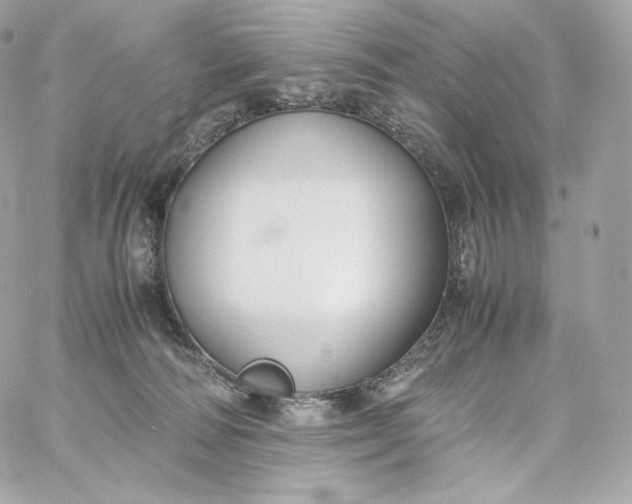 X0000060260226200511112029