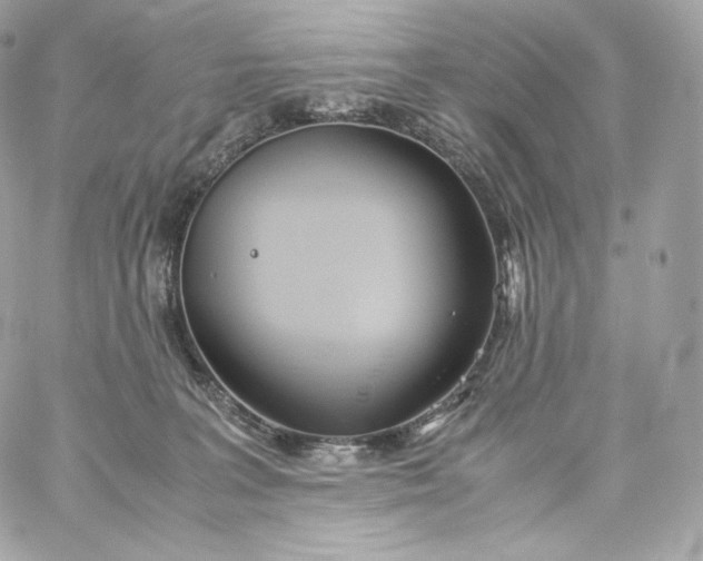 X0000060260227200511112029