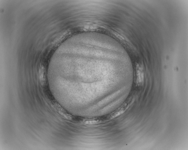 X0000060260228200511112029