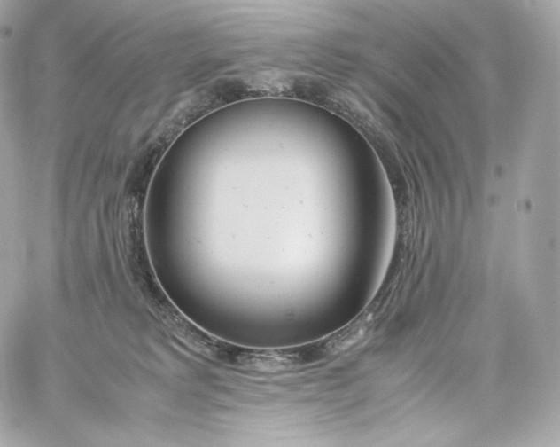 X0000060260229200511112029