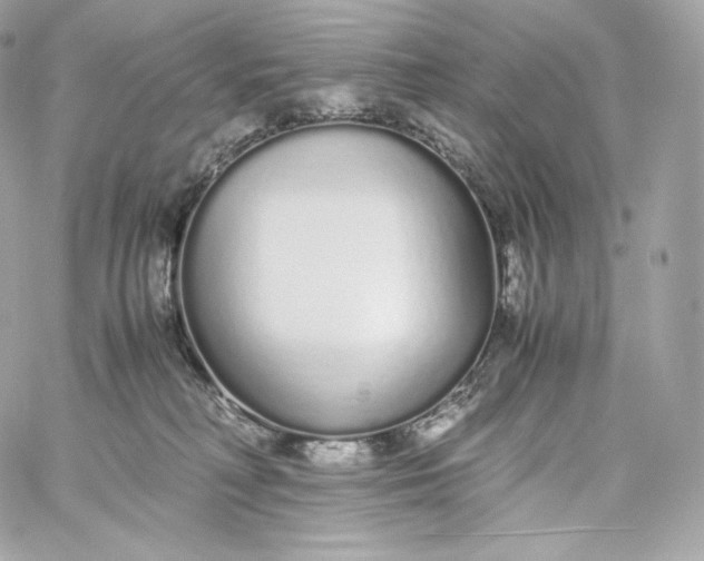 X0000060260230200511112029