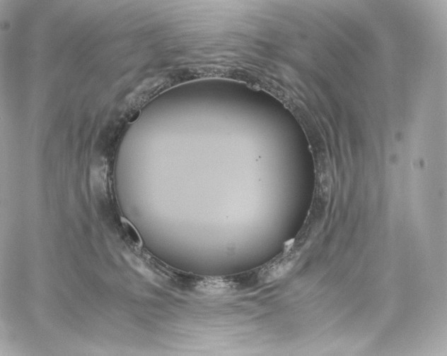 X0000060260231200511112029