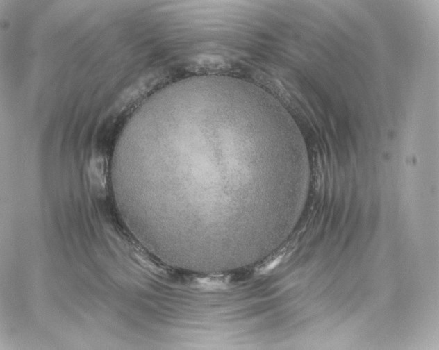 X0000060260232200511112029