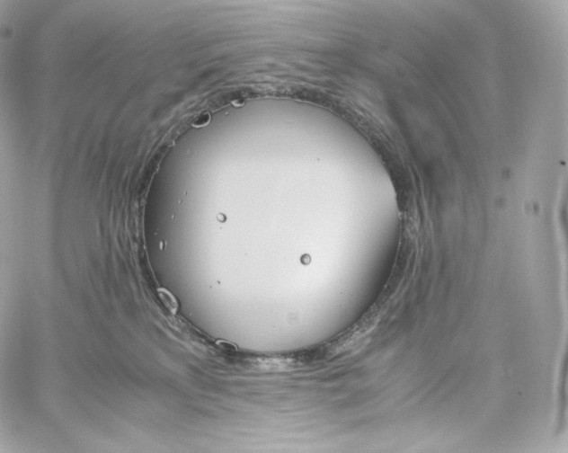 X0000060260233200511112029