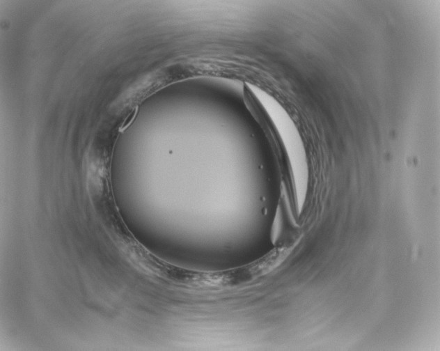 X0000060260235200511112029