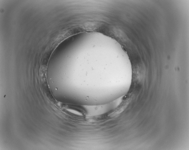 X0000060260237200511112029