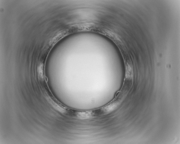 X0000060260238200511112029