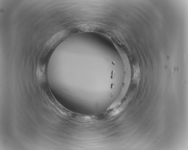 X0000060260239200511112029