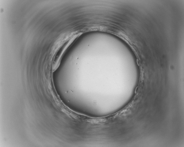 X0000060260241200511112028