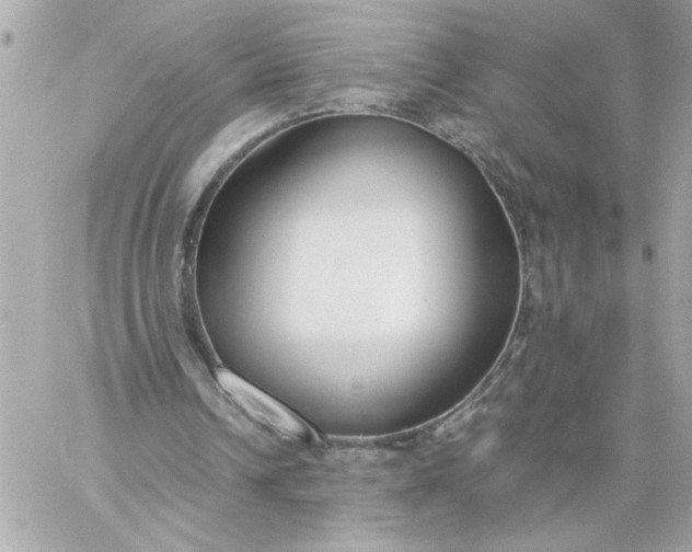 X0000060260242200511112028