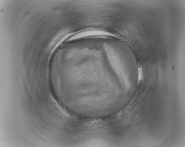 X0000060260243200511112028