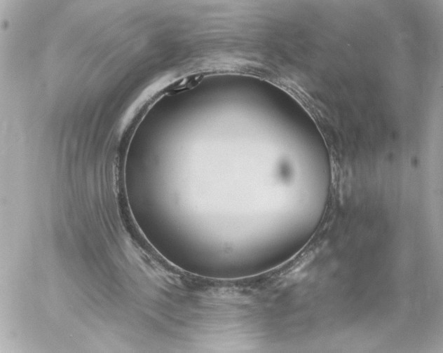 X0000060260244200511112028