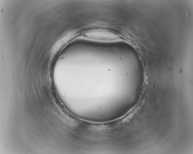 X0000060260245200511112028