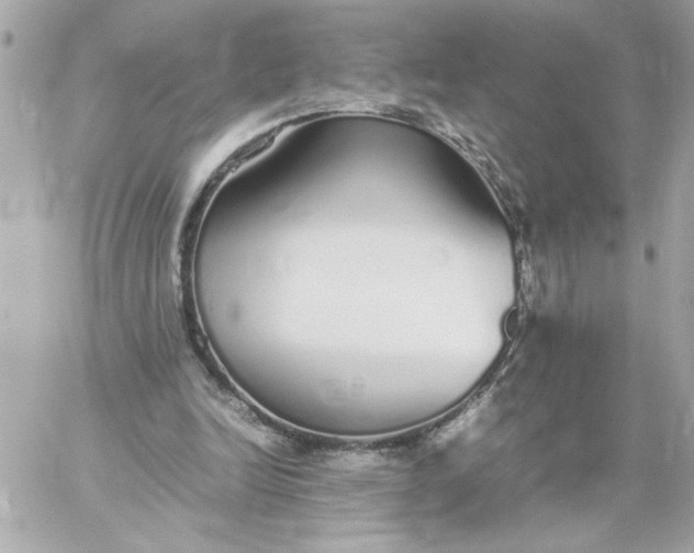 X0000060260246200511112028