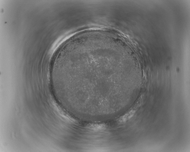 X0000060260247200511112028