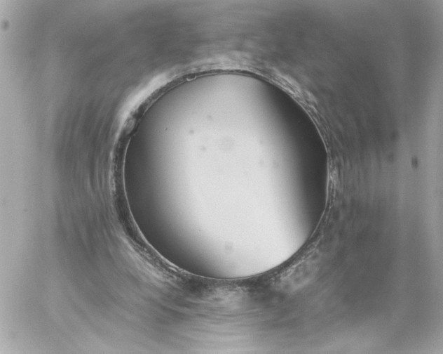 X0000060260248200511112028