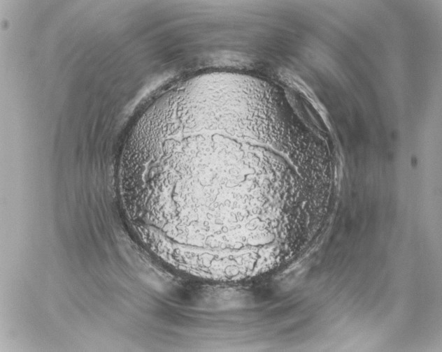 X0000060260249200511112028