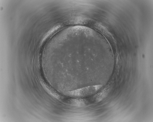 X0000060260250200511112028