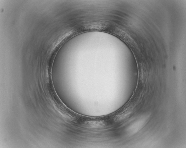 X0000060260251200511112028