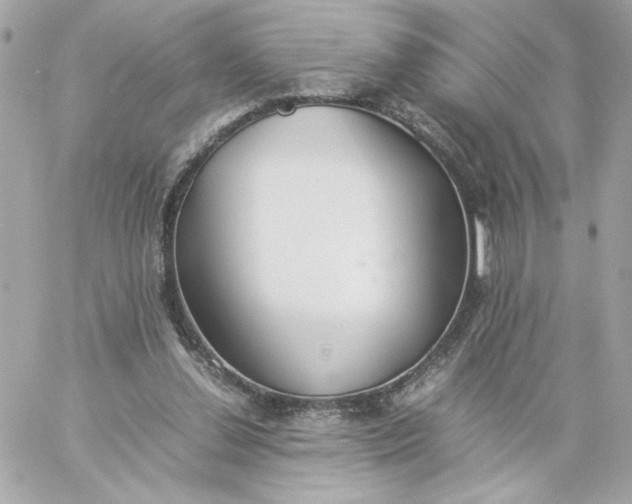 X0000060260252200511112028