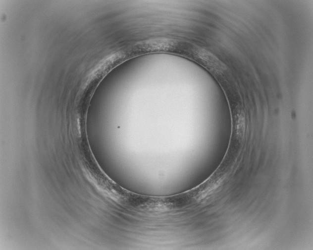 X0000060260254200511112028