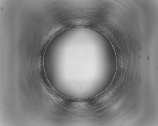 X0000060260255200511112029