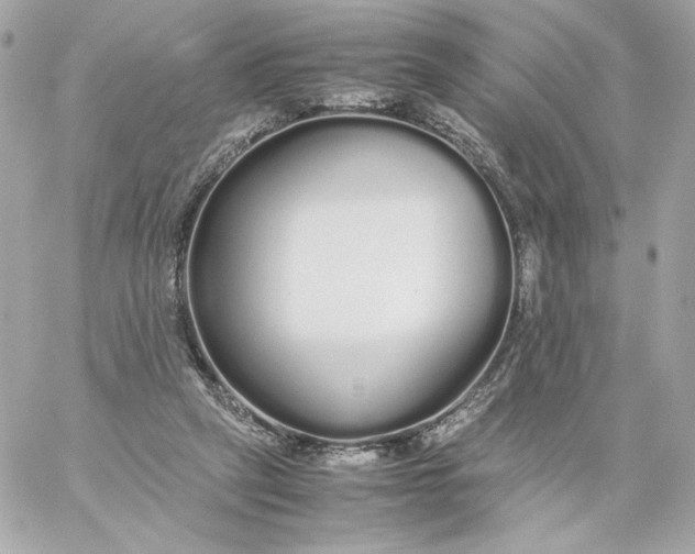 X0000060260257200511112029