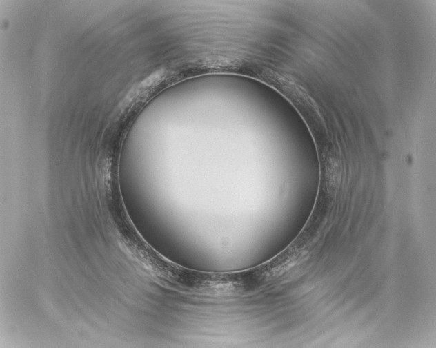 X0000060260260200511112029