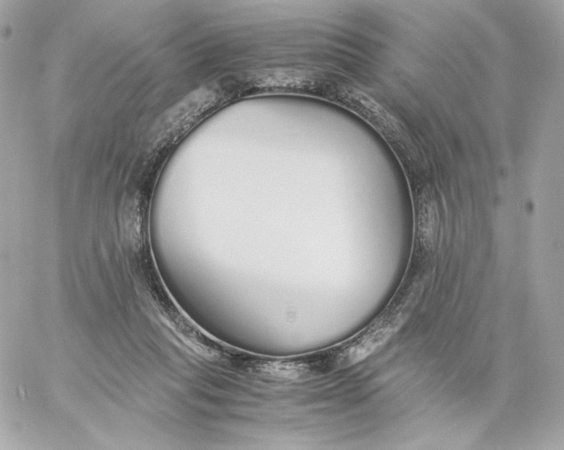 X0000060260261200511112029