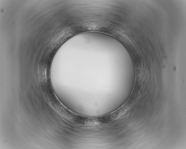 X0000060260262200511112029