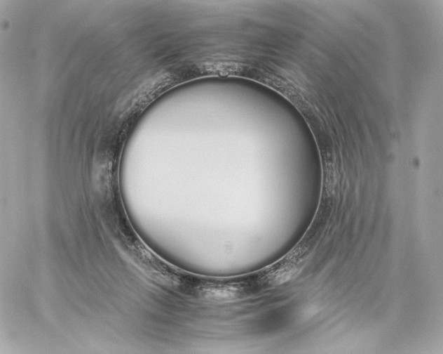 X0000060260263200511112029