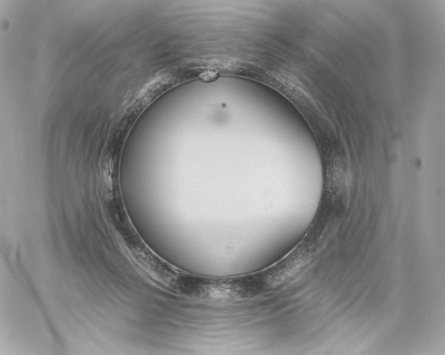 X0000060260264200511112029