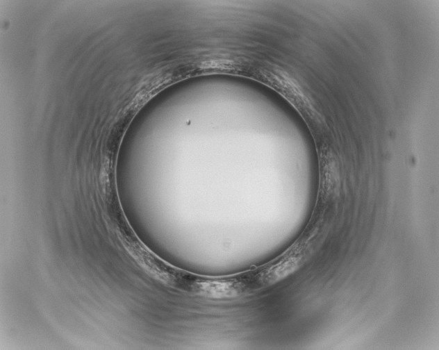 X0000060260265200511112029