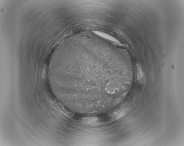 X0000060260266200511112029