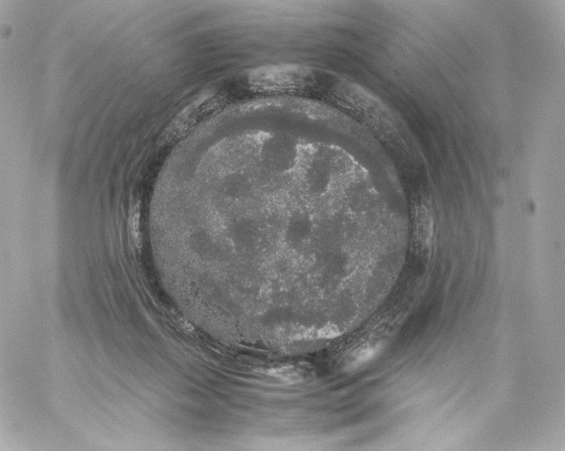 X0000060260267200511112029