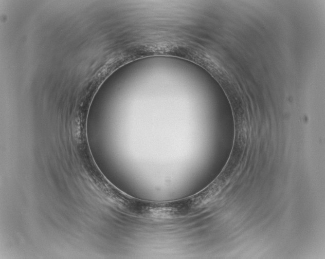 X0000060260268200511112029