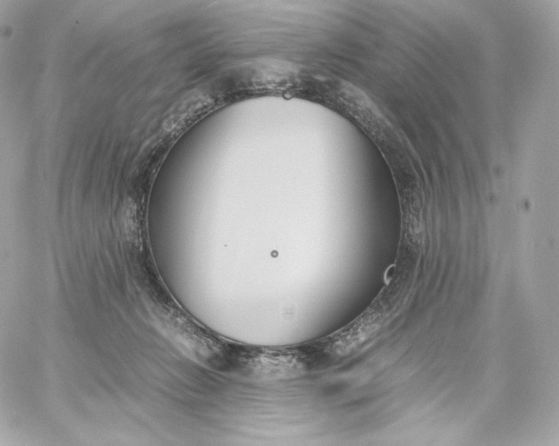 X0000060260270200511112029