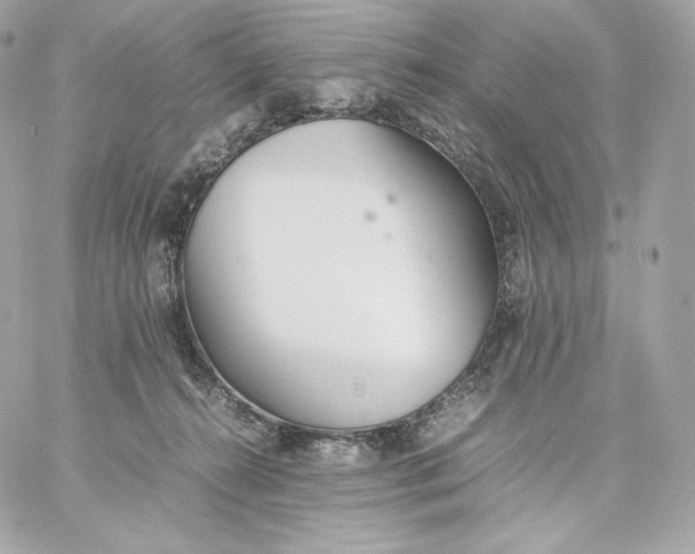 X0000060260272200511112029