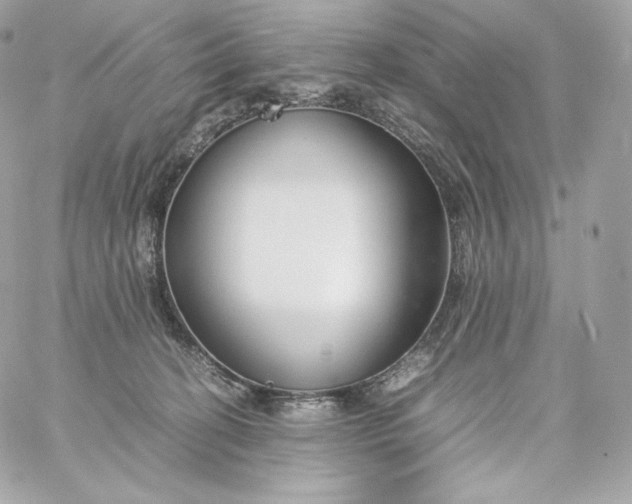 X0000060260274200511112029