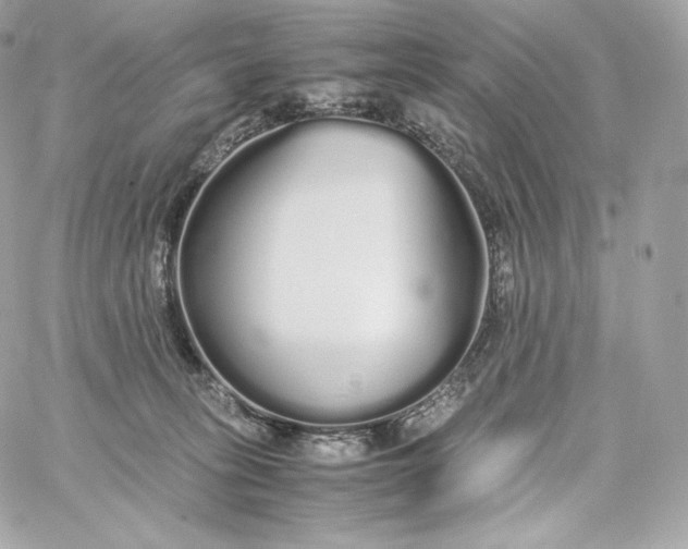 X0000060260275200511112029