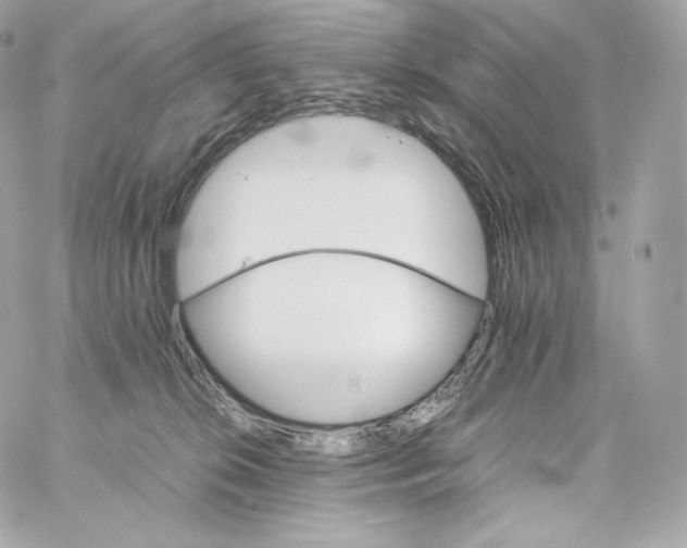 X0000060260276200511112029