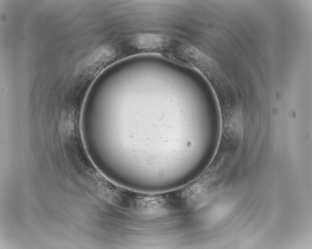 X0000060260277200511112029