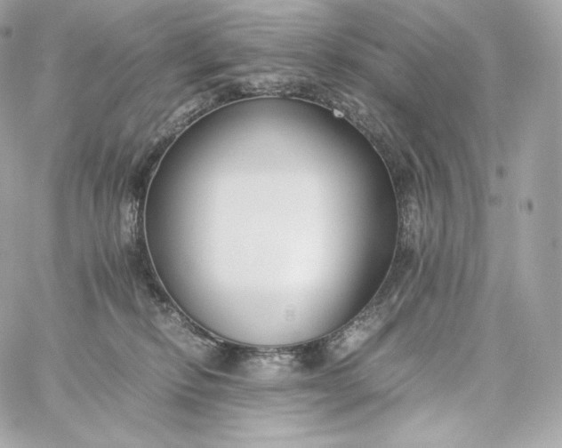 X0000060260278200511112029