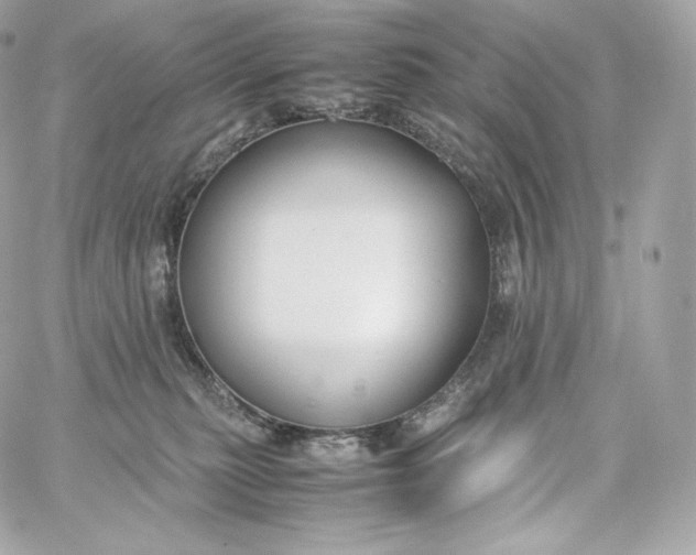 X0000060260279200511112029