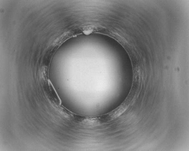 X0000060260280200511112029